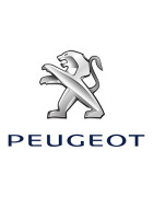 Peinture Peugeot