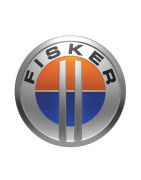 Peinture Fisker