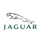 Peinture Jaguar