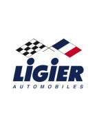 Peinture Ligier