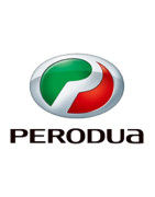 Peinture Perodua