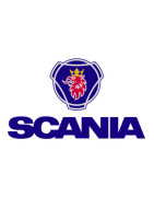 Peinture Scania