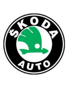 Peinture Skoda