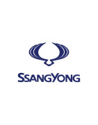 Peinture Ssangyong