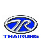 Peinture Thairung