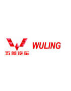 Peinture Wuling