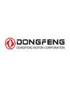 Peinture Dongfeng