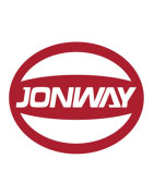 Peinture Jonway